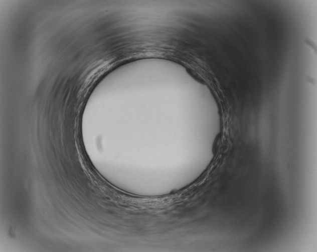 X0000103440001200809261804