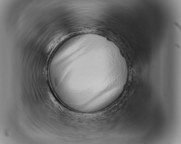 X0000103440002200809261804