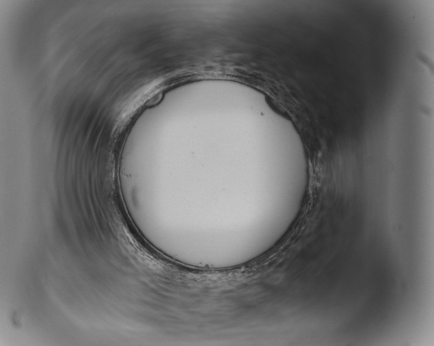 X0000103440005200809261804