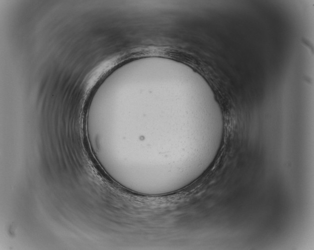 X0000103440006200809261804