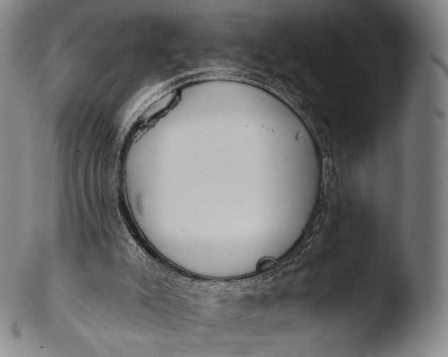 X0000103440007200809261804