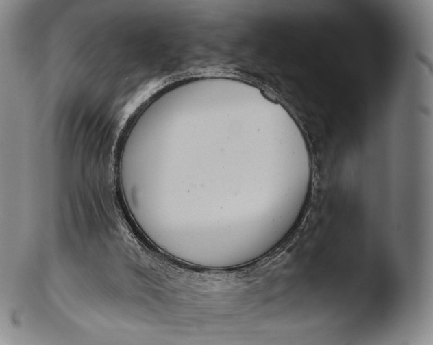 X0000103440008200809261804