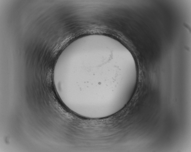 X0000103440009200809261804