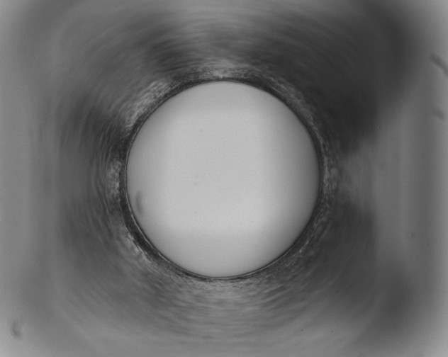 X0000103440010200809261804
