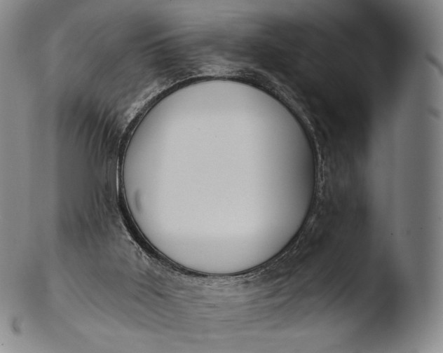 X0000103440011200809261804