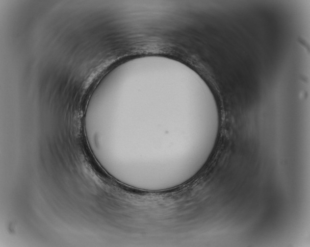 X0000103440012200809261804