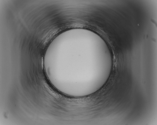 X0000103440013200809261804