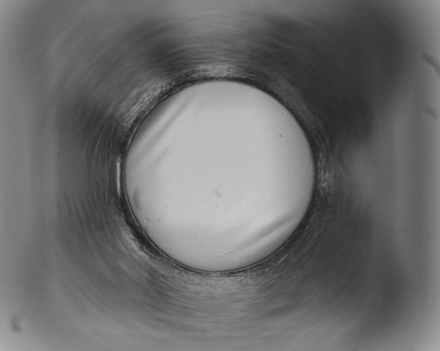 X0000103440014200809261804