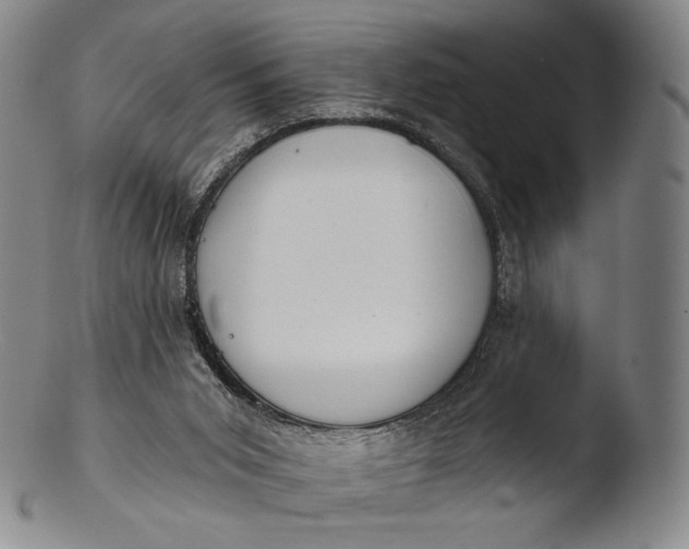 X0000103440015200809261804
