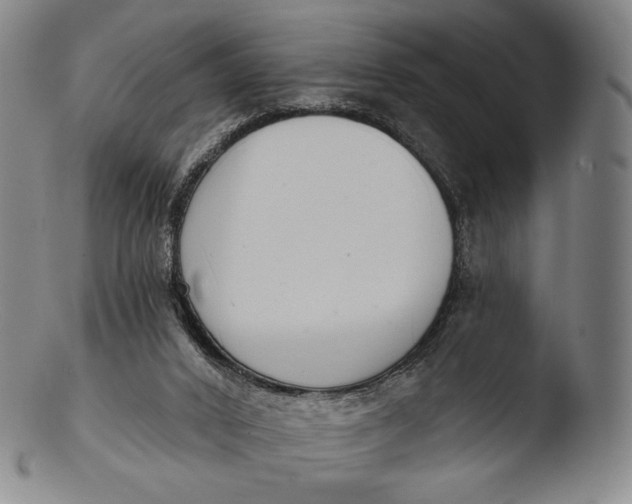 X0000103440016200809261804