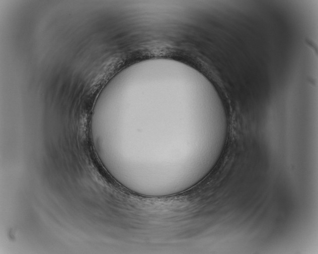 X0000103440018200809261804