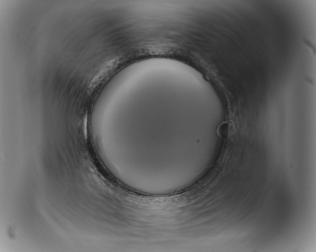 X0000103440019200809261804