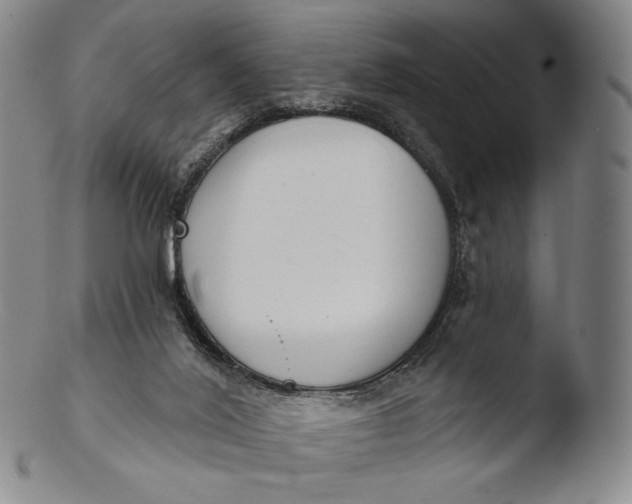 X0000103440020200809261804