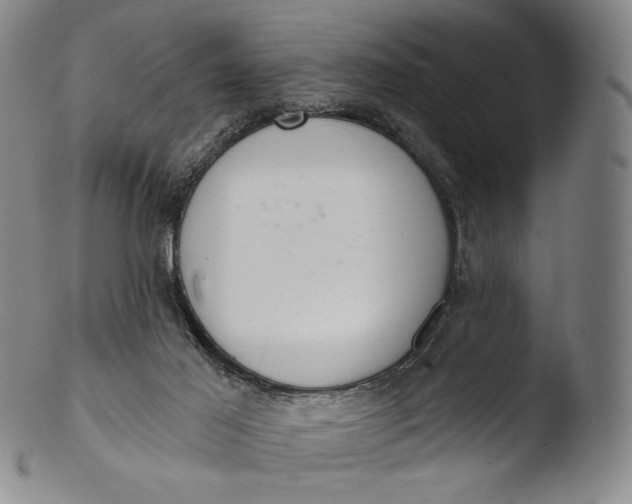 X0000103440021200809261804