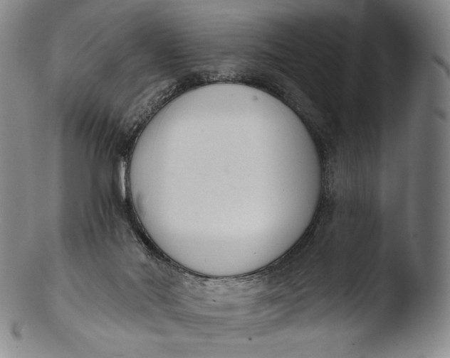 X0000103440022200809261804