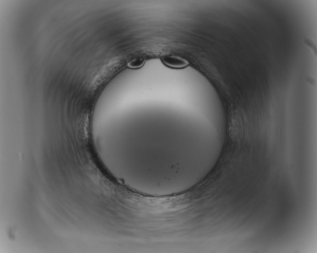 X0000103440023200809261804
