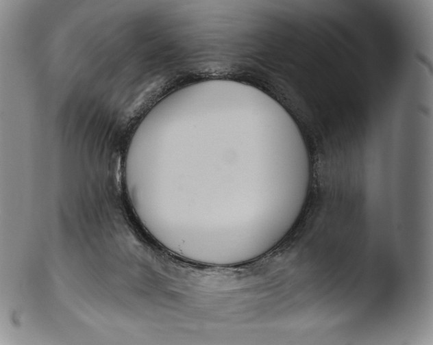 X0000103440024200809261804