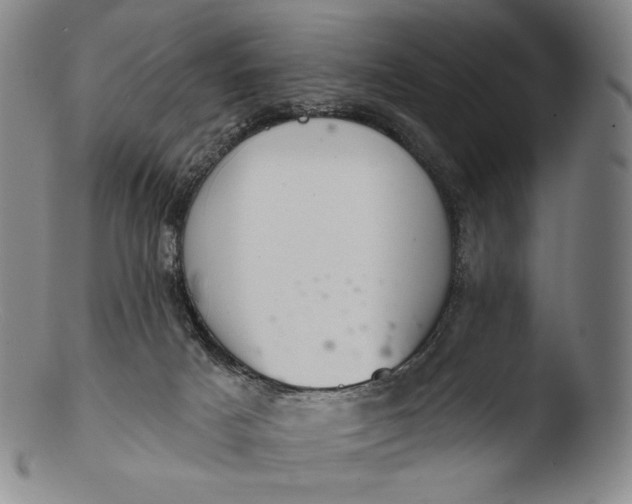X0000103440025200809261804