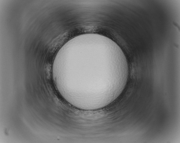 X0000103440026200809261804