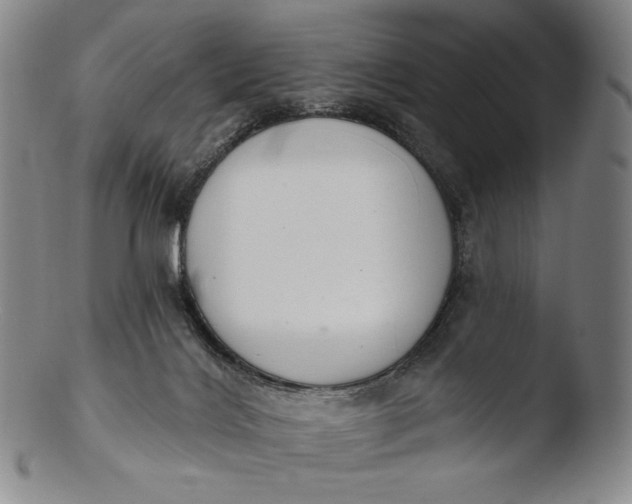 X0000103440028200809261804