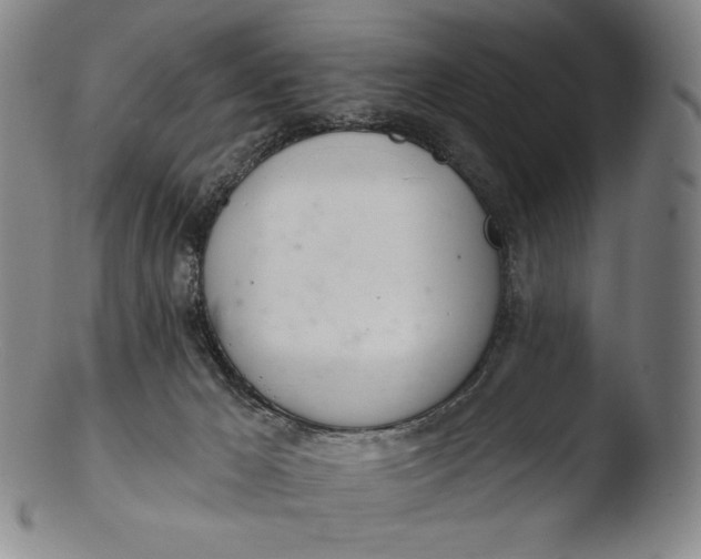 X0000103440029200809261804