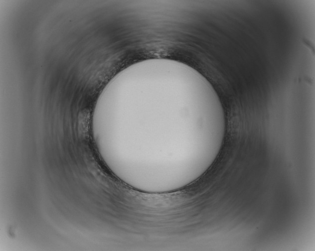 X0000103440030200809261804