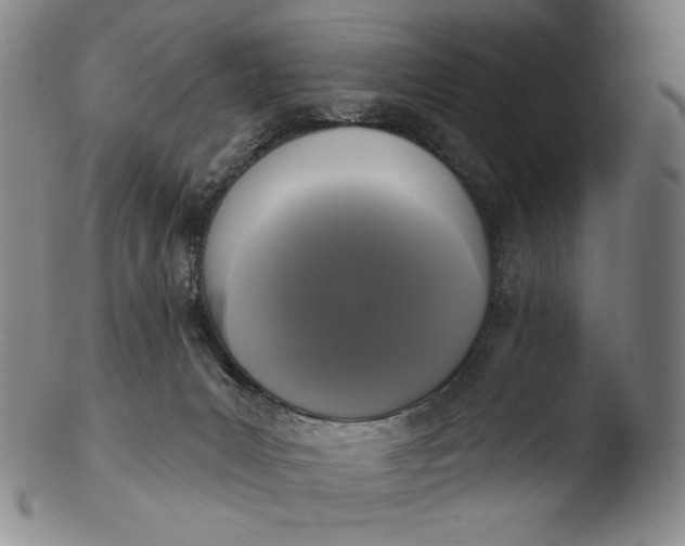 X0000103440031200809261804