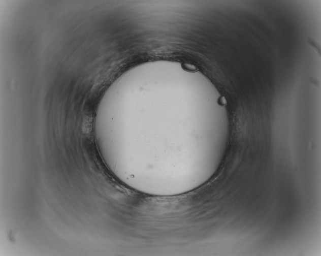 X0000103440033200809261804