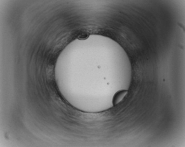 X0000103440034200809261804
