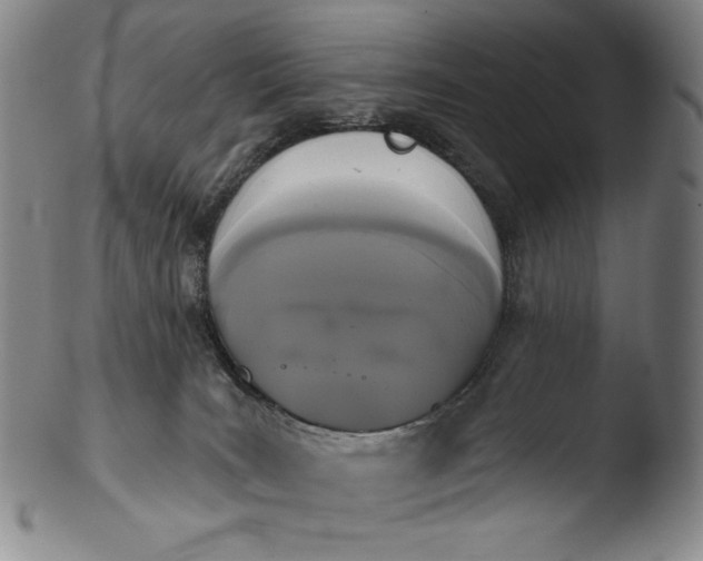 X0000103440035200809261804