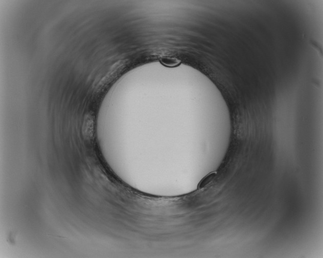 X0000103440036200809261804