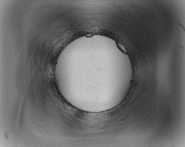 X0000103440037200809261804