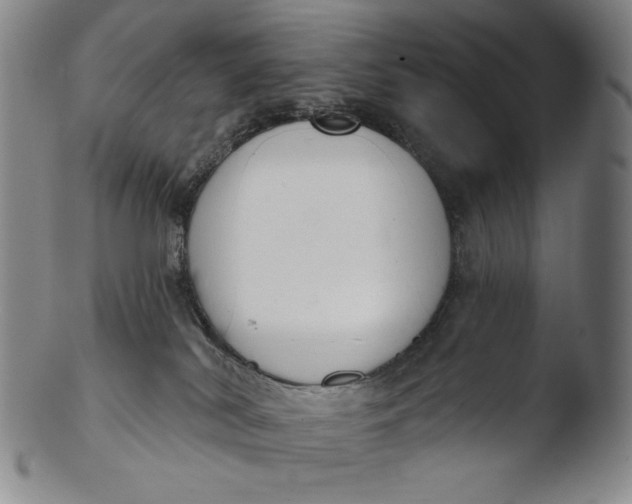 X0000103440038200809261804