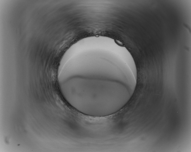 X0000103440039200809261804