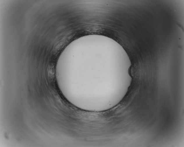 X0000103440040200809261804