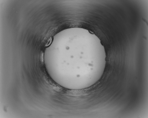 X0000103440041200809261804