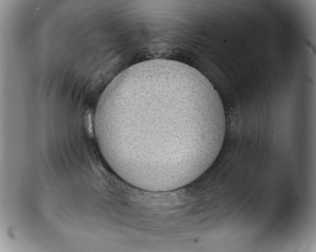 X0000103440042200809261804