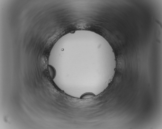 X0000103440043200809261804