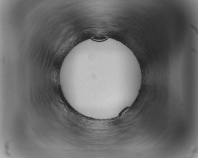 X0000103440044200809261804