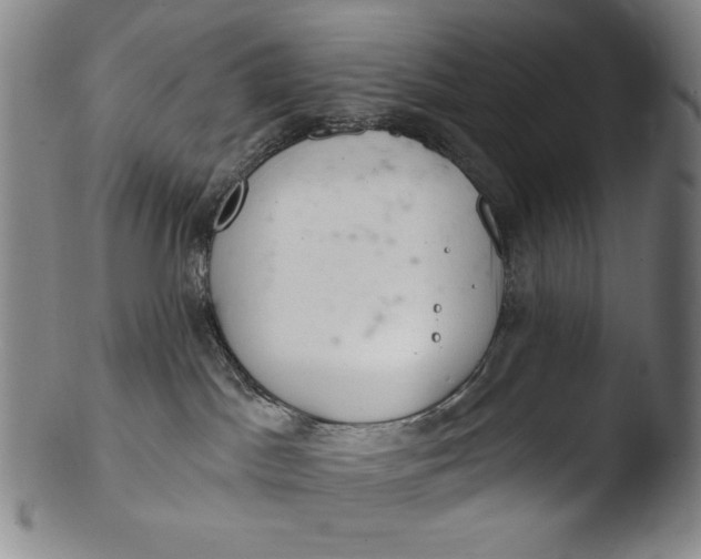 X0000103440045200809261804