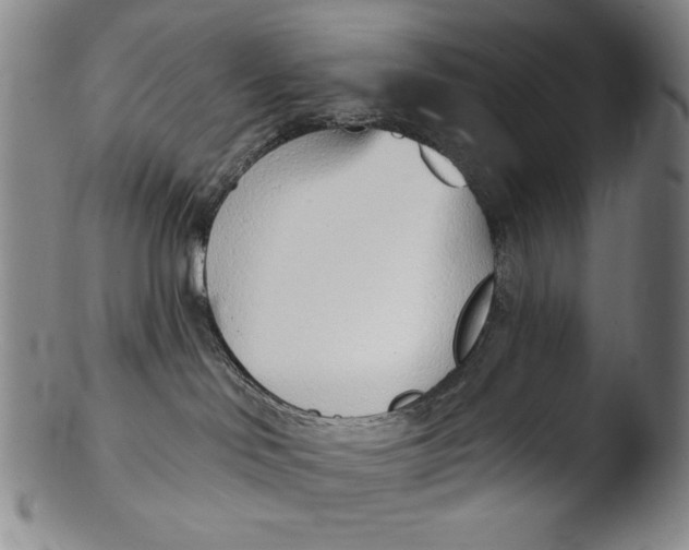 X0000103440046200809261804