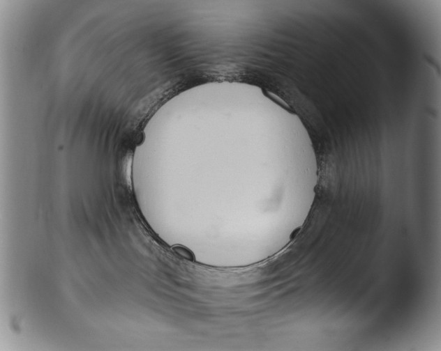 X0000103440047200809261804