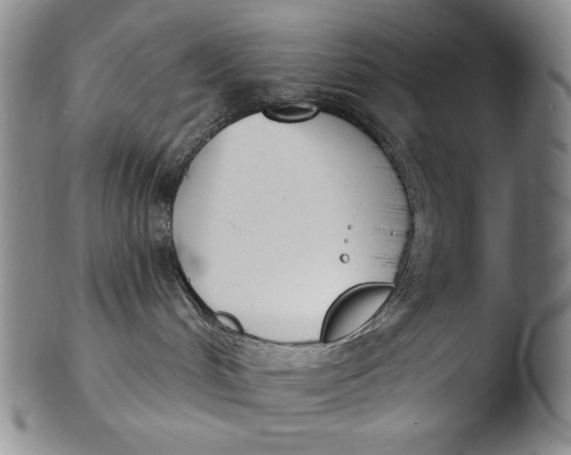 X0000103440048200809261804