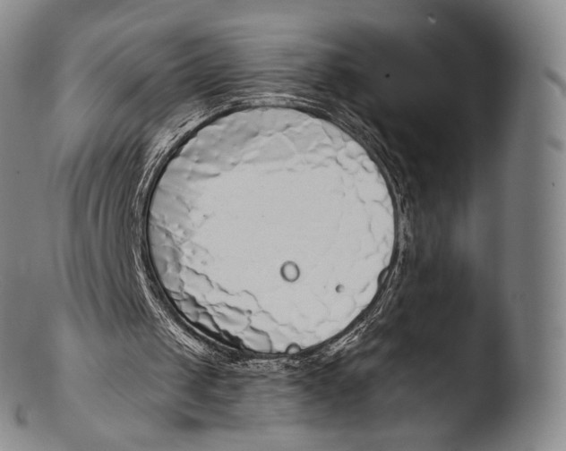 X0000103440049200809261803