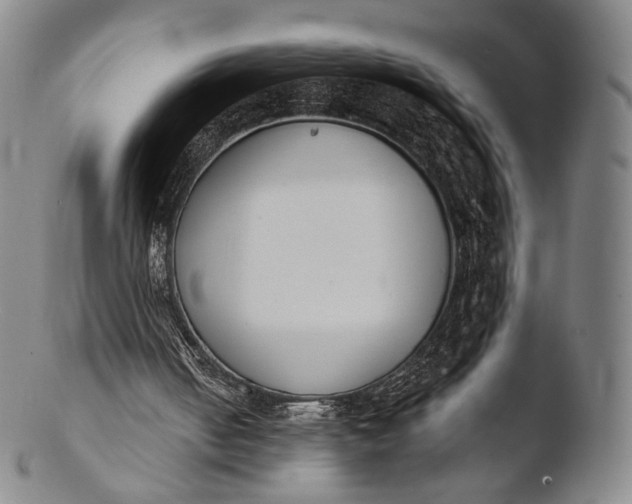 X0000103440050200809261803