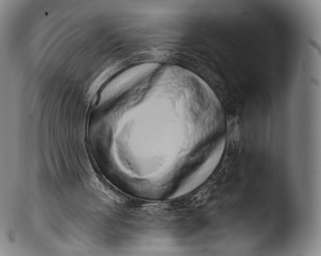 X0000103440051200809261803