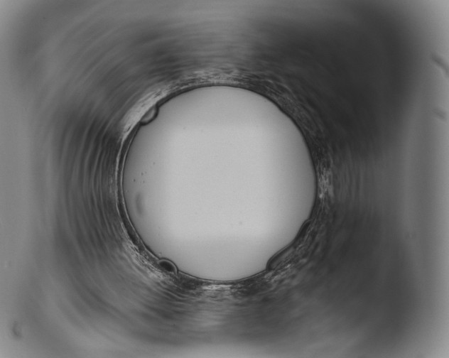 X0000103440052200809261803