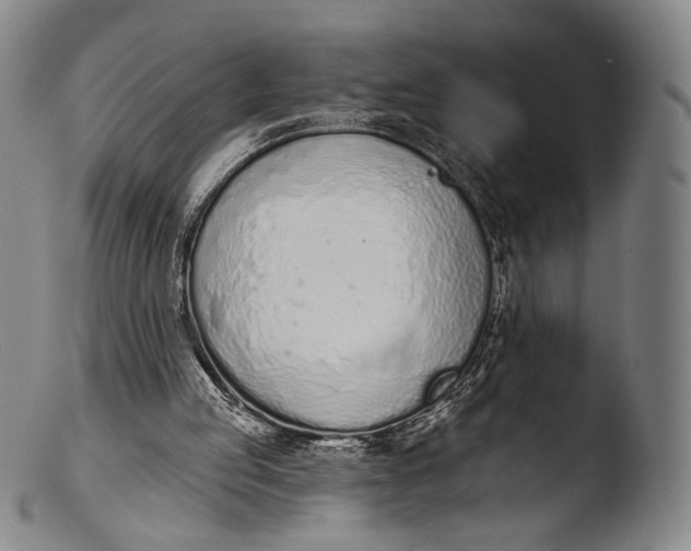 X0000103440053200809261803