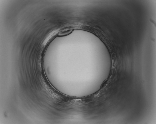 X0000103440054200809261803