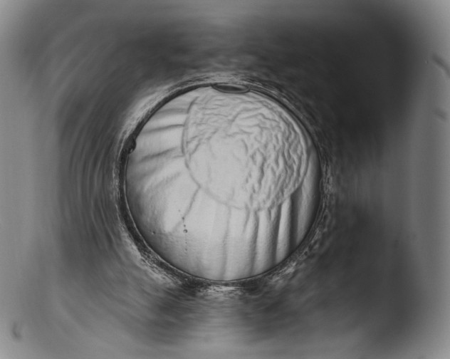X0000103440055200809261803